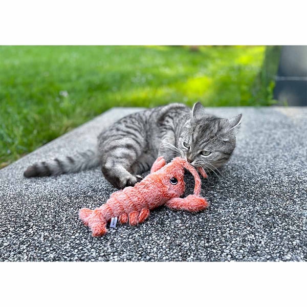 Aumüller Katzenspielkissen Schweinchen Peggy - 3er Set Mit Baldrian