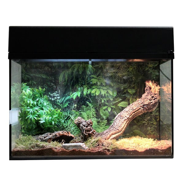 Lucky Reptile Terrarium Starter Kit 50 cm "Spinne + Skorpion"