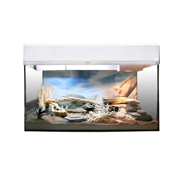 Lucky Reptile Terrarium Starter Kit 50 cm "Wüstengecko"