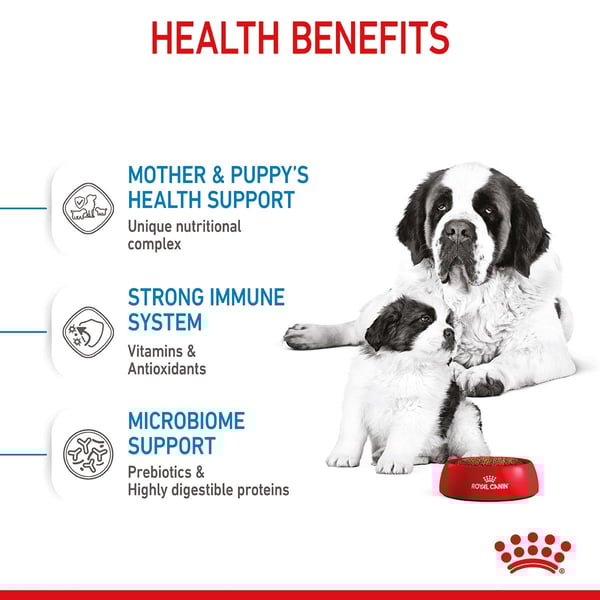 ROYAL CANIN GIANT Starter für tragende Hündin und Welpen sehr großer Rassen