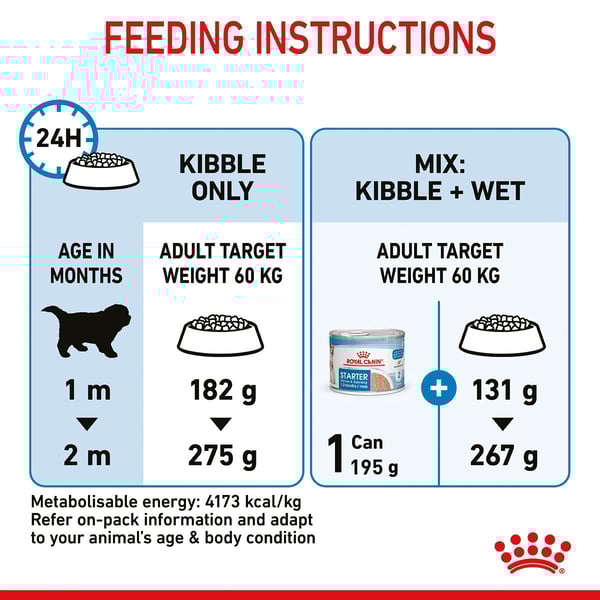 ROYAL CANIN GIANT Starter für tragende Hündin und Welpen sehr großer Rassen
