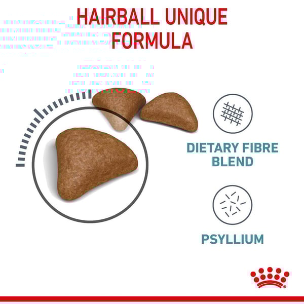Royal Canin FCN Hairball Care günstig kaufen bei ZooRoyal