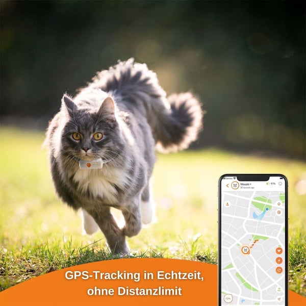 Weenect XS GPS Tracker für Katzen günstig kaufen bei ZooRoyal