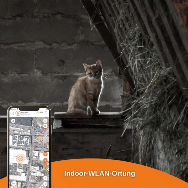 Weenect XS GPS Tracker für Katzen günstig kaufen bei ZooRoyal