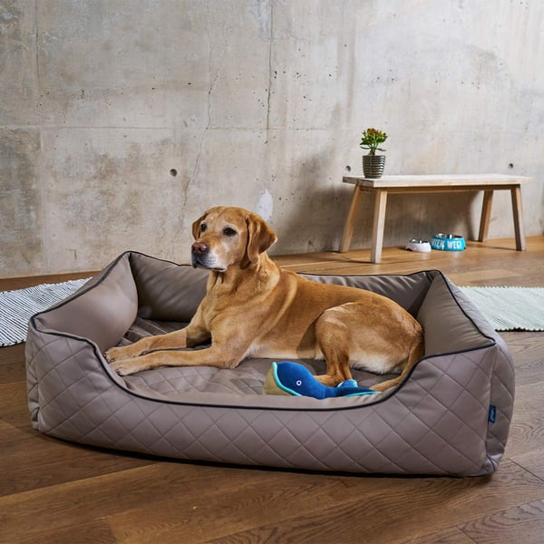 ZooRoyal orthopädisches Hundebett Madson kaufen bei ZooRoyal