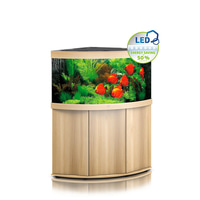 Juwel Komplett Eck-Aquarium Trigon 350 LED mit Unterschrank SBX