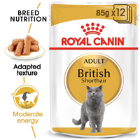 ROYAL CANIN British Shorthair Adult Katzenfutter nass für Britisch Kurzhaar