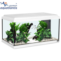 Aquatlantis Aquarium Advance LED 60