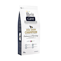 Brit Care Dog Show Champion