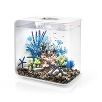 biOrb FLOW 30 LED weiß