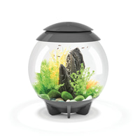 biOrb HALO 30 LED grau