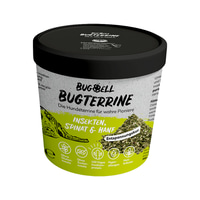 BugTerrine Adult grün Spinat &amp; Hanf