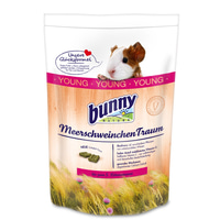 Bunny Meerschweinchentraum young