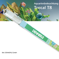 Dennerle Trocal de Luxe T8 Amazon Day