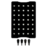 Fauna Marin Coral Frag Bord Maxi
