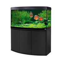 Fluval Komplettaquarium mit Unterschrank Vicenza 260