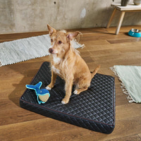 furrysoul orthopädisches Hundekissen Juana schwarz