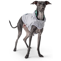 GF Pet Lodge Hoodie grau XS | Rückläufer