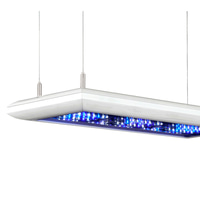 Giesemann FUTURA S marine irridium metallic