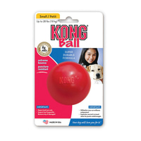 Kong hrací míček