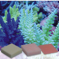 korallen-zucht Automatic Elements Eisen Konzentrat 5 Stück