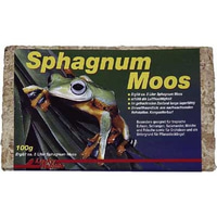 Lucky Reptile Sphagnum Moos 100g