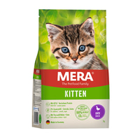 Mera Cat Kitten Ente