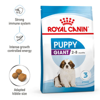 ROYAL CANIN GIANT Puppy Trockenfutter für Welpen sehr großer Rassen