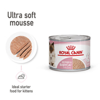 ROYAL CANIN MOTHER &amp; BABYCAT Mousse für tragende Katzen und Kitten