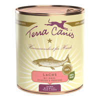 Terra Canis CLASSIC Lachs mit Hirse, Pfirsich und Kräutern