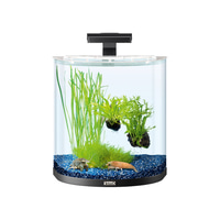 Tetra AquaArt Explorer Line Halfmoon Komplett-Set 30l