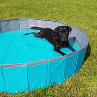 Thempa Hundepool