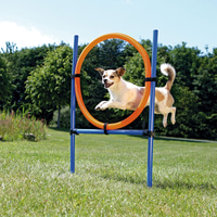 Trixie Dog Activity Agility Ring | Rückläufer