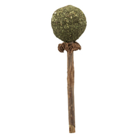 Trixie Matatabi mit Catnip Lolli