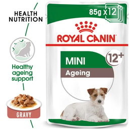 ROYAL CANIN MINI AGEING 12+ Nassfutter für ältere kleine Hunde