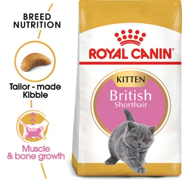 ROYAL CANIN British Shorthair Kittenfutter trocken für Kätzchen