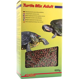 Lucky Reptile Turtle Mix Adult