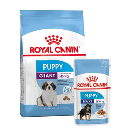 ROYAL CANIN Giant Puppy 3,5kg + Maxi Puppy in Soße 10x140g