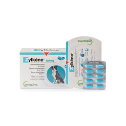 Vetoquinol Zylkène® Kapseln für Hunde gegen Stress- und Angstzuständen