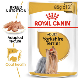 Royal Canin Breed Health Nutrition Yorkshire Terrier 12x85g