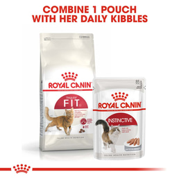 ROYAL CANIN FIT Trockenfutter 10kg + INSTINCTIVE Nassfutter 48x85g