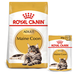 ROYAL CANIN ADULT Maine Coon 10kg + Nassfutter in Soße 48x85g