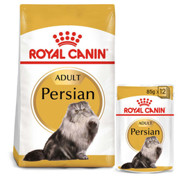 ROYAL CANIN ADULT Persian Trockenfutter 10kg + Nassfutter 48x85g