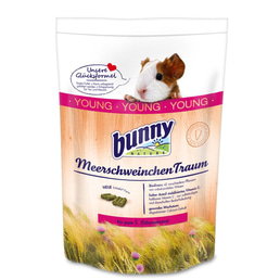 Bunny Meerschweinchentraum young