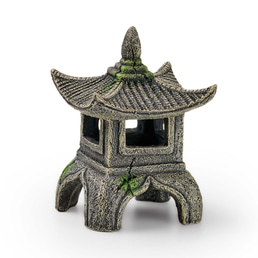 EDEN Asien Tempel