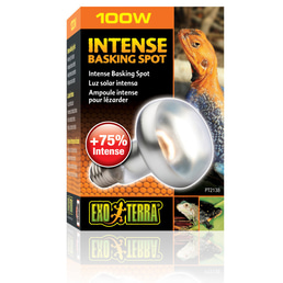 Exo Terra Intense Basking Spot 4+1 gratis 100 Watt