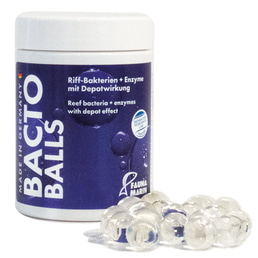 Fauna Marin Bacto Reef Balls