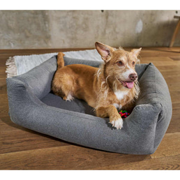 furrysoul orthopädisches Hundebett Lian grau