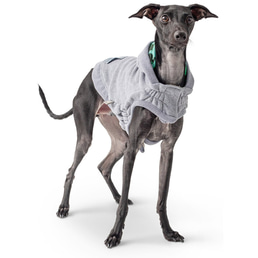 GF Pet Lodge Hoodie grau XS | Rückläufer