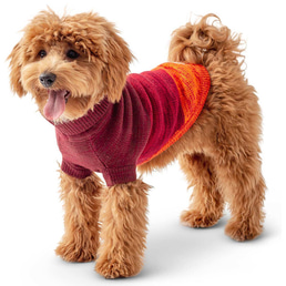 GF Pet Trail Sweater dunkelrot XL | Rückläufer